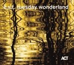 Tuesday Wonderland